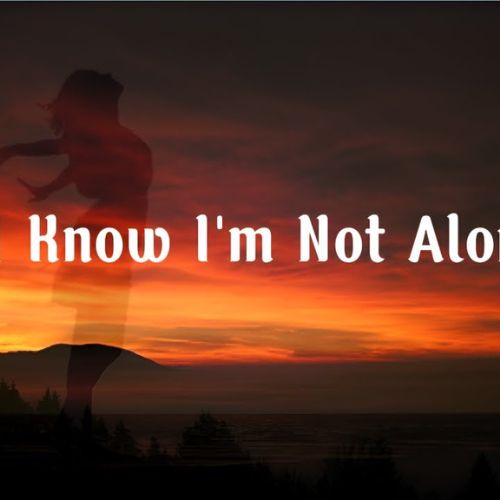 I know i am not alone